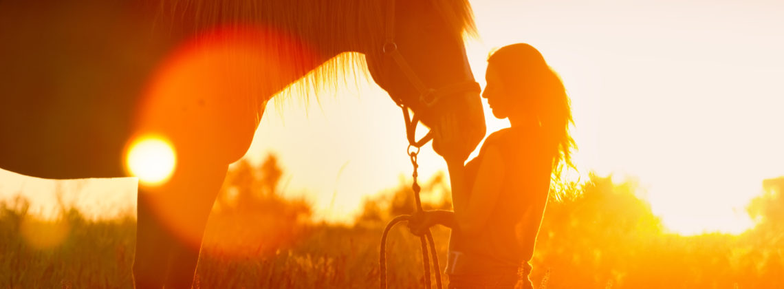 Equine Guelph’s Latest Online Course is Golden!