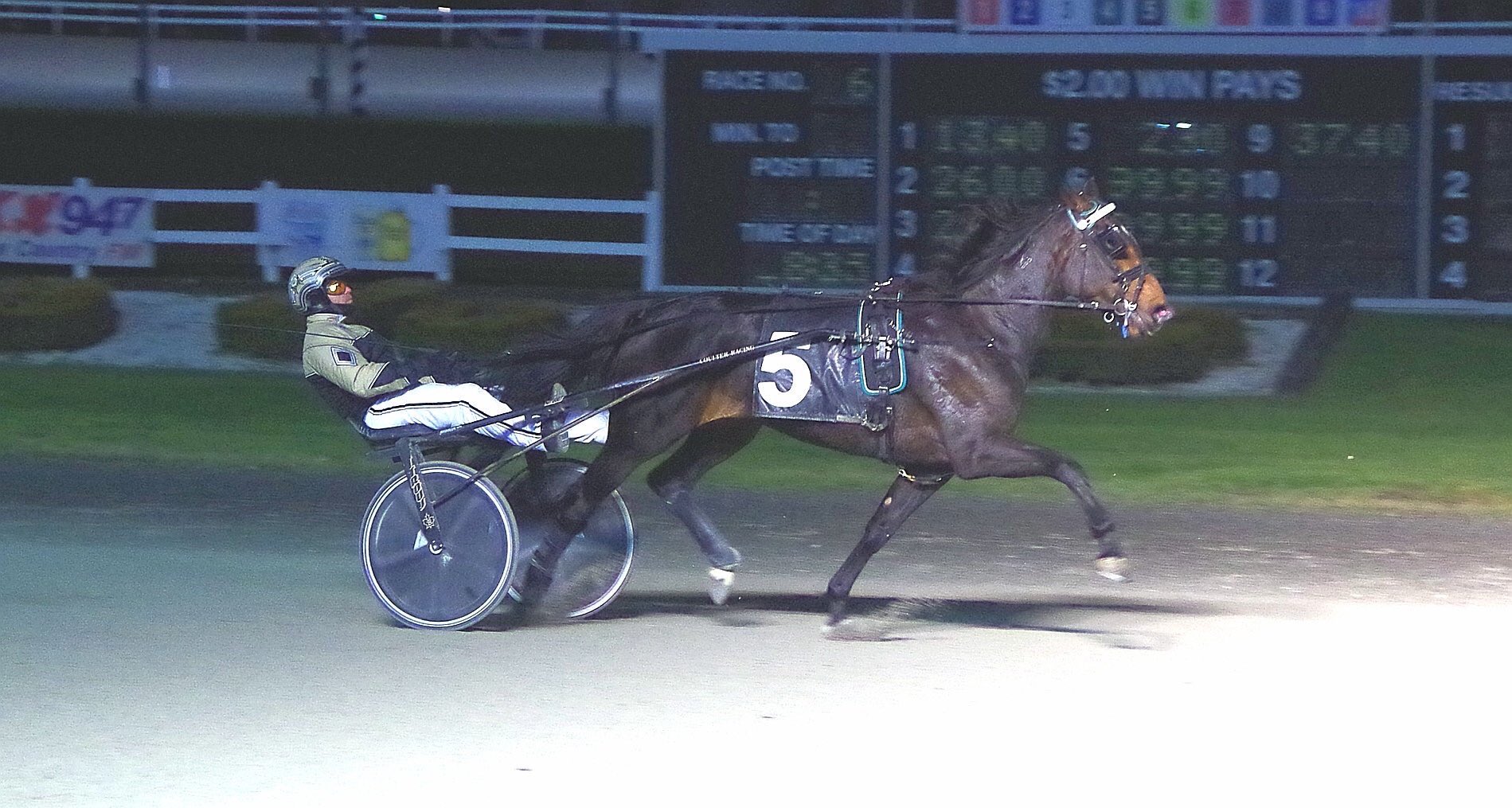Garnet Barnsdale’s Flamboro Downs Selections: Tuesday, October 13, 2020