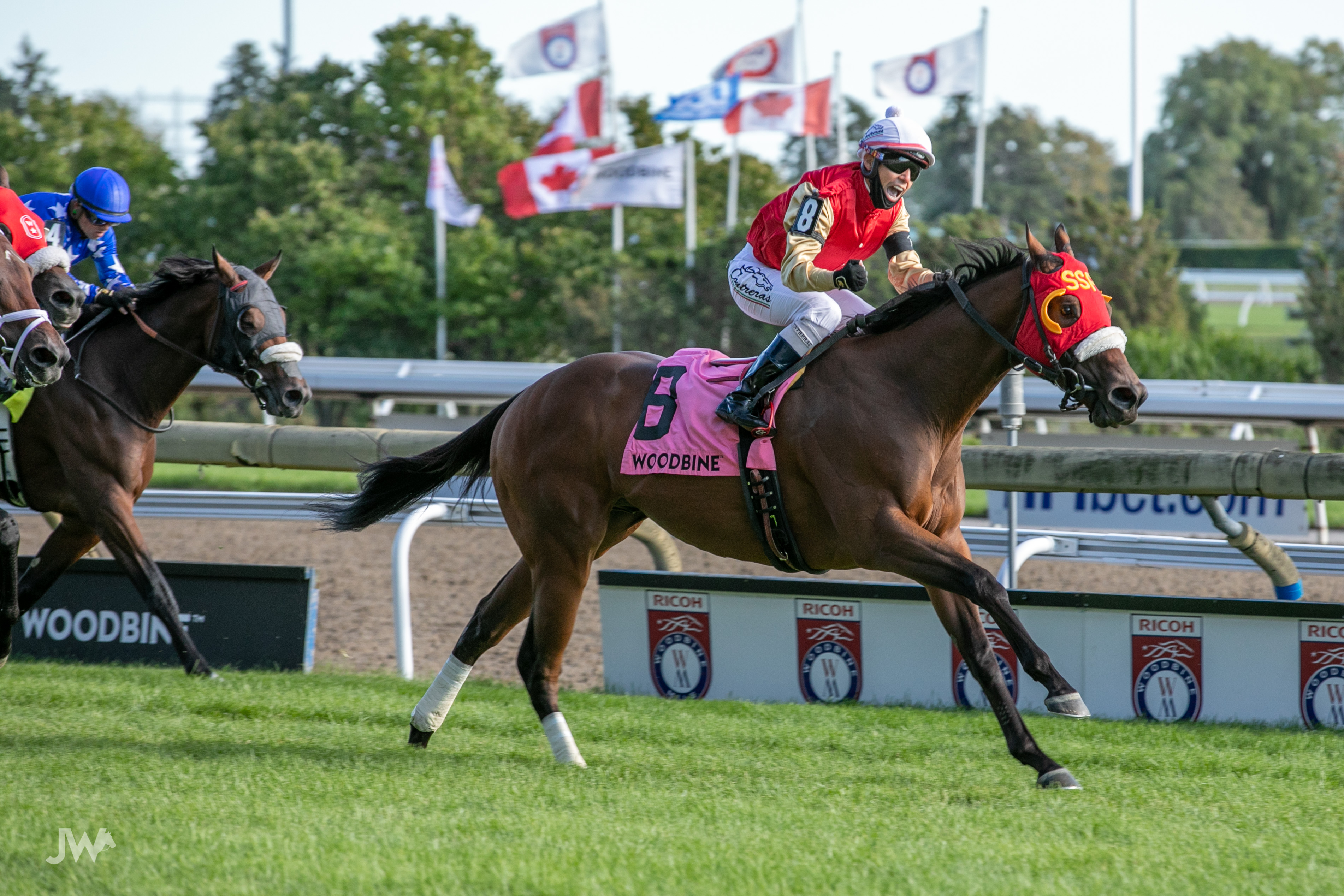 Horse Racing Permitted to Resume in Ontario as of June 14