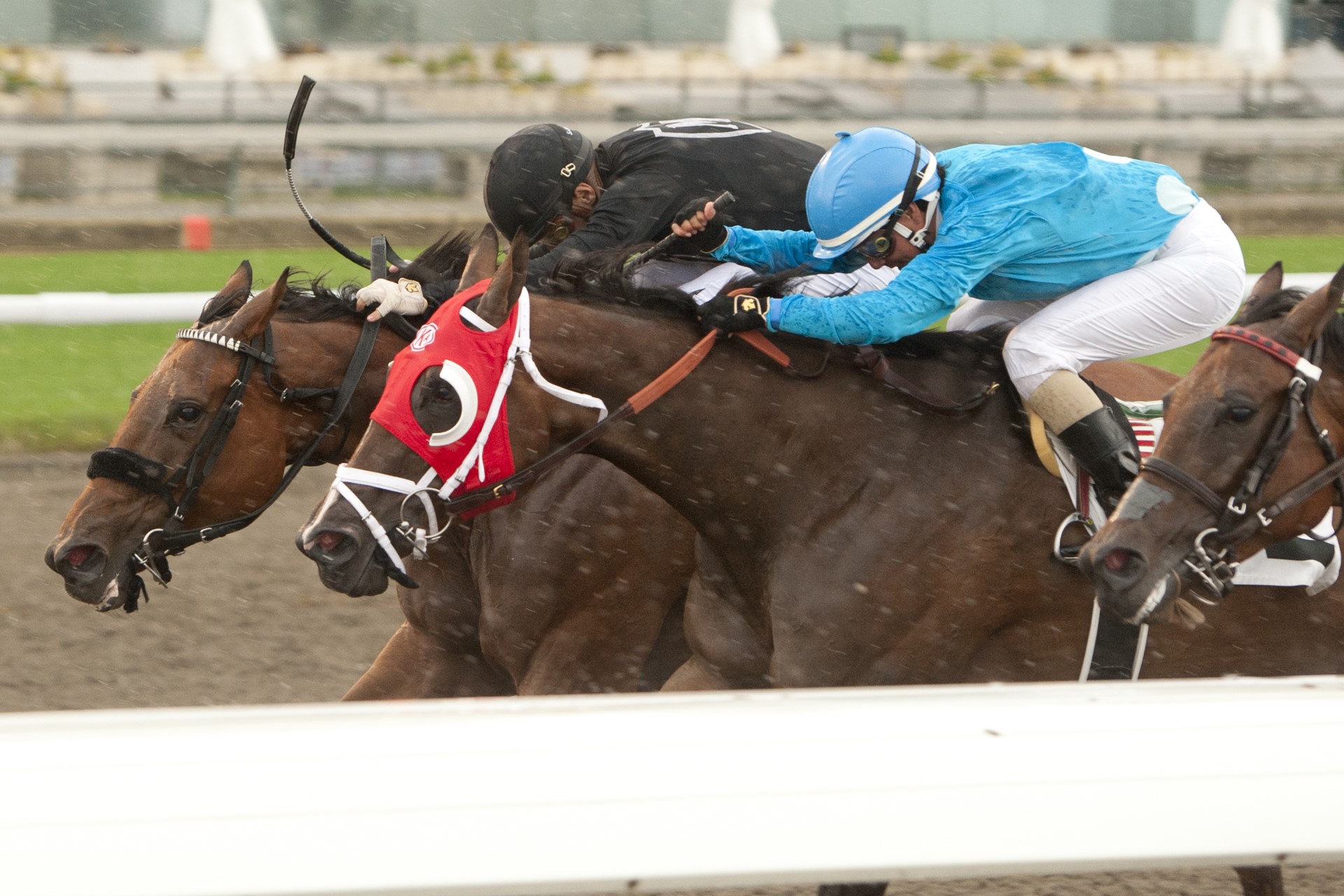 Il Malocchio (outside) edges Angelou and Super Hoity Toity in Sunday's Grade 3 Trillium Stakes Presented by Stella Artois. (Michael Burns Photo)