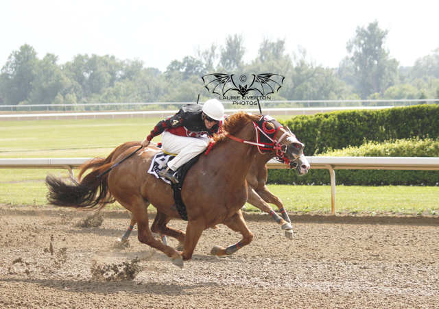 Champions line up in All Canadian Classic at Ajax Downs
