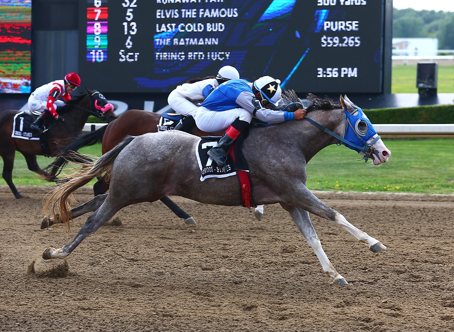 Elvis the Famous rocks Ajax Downs in Ontario Bred Futurity