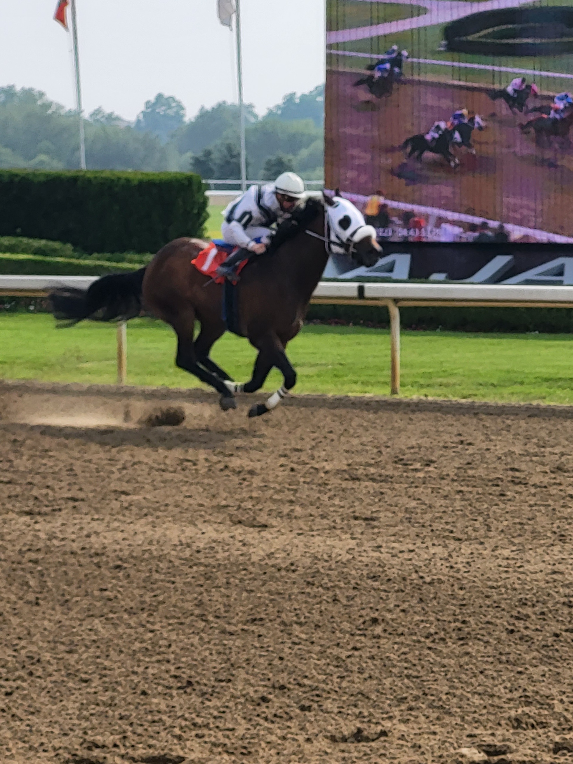 Big Day for James Bogar and Brian Bell at Ajax Downs