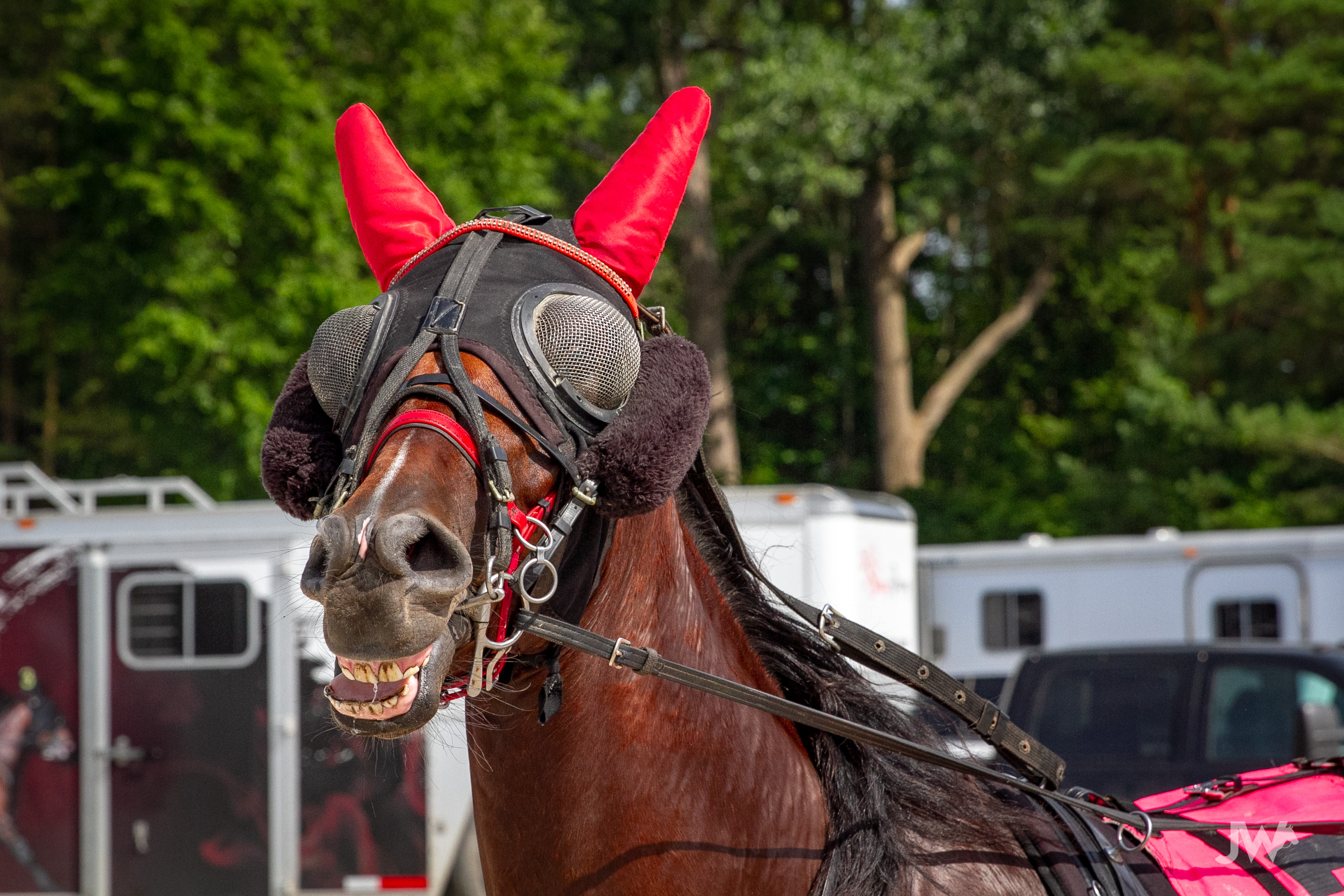 Garnet Barnsdale’s Hanover Raceway Selections for Saturday, August 1, 2020