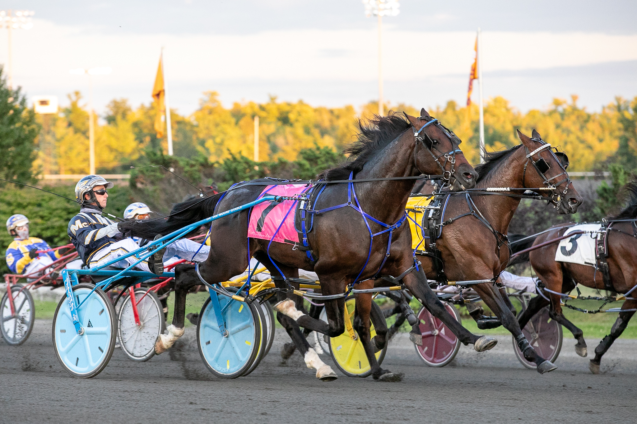 Ontario Racing presents free preview of HPItv for March for Bell TV Subscribers