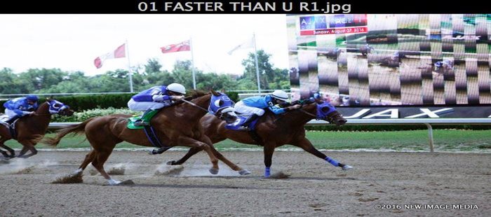 The Horse That Changed My Life Aug. 19