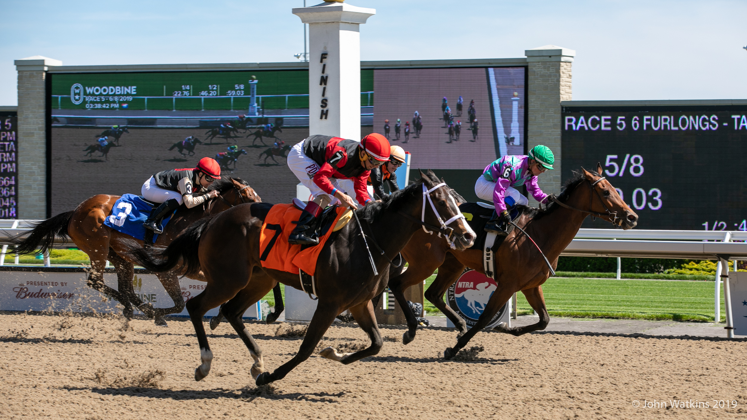 Jennifer Morrison S Woodbine Selections Friday November 22 2019 Ontario Racing