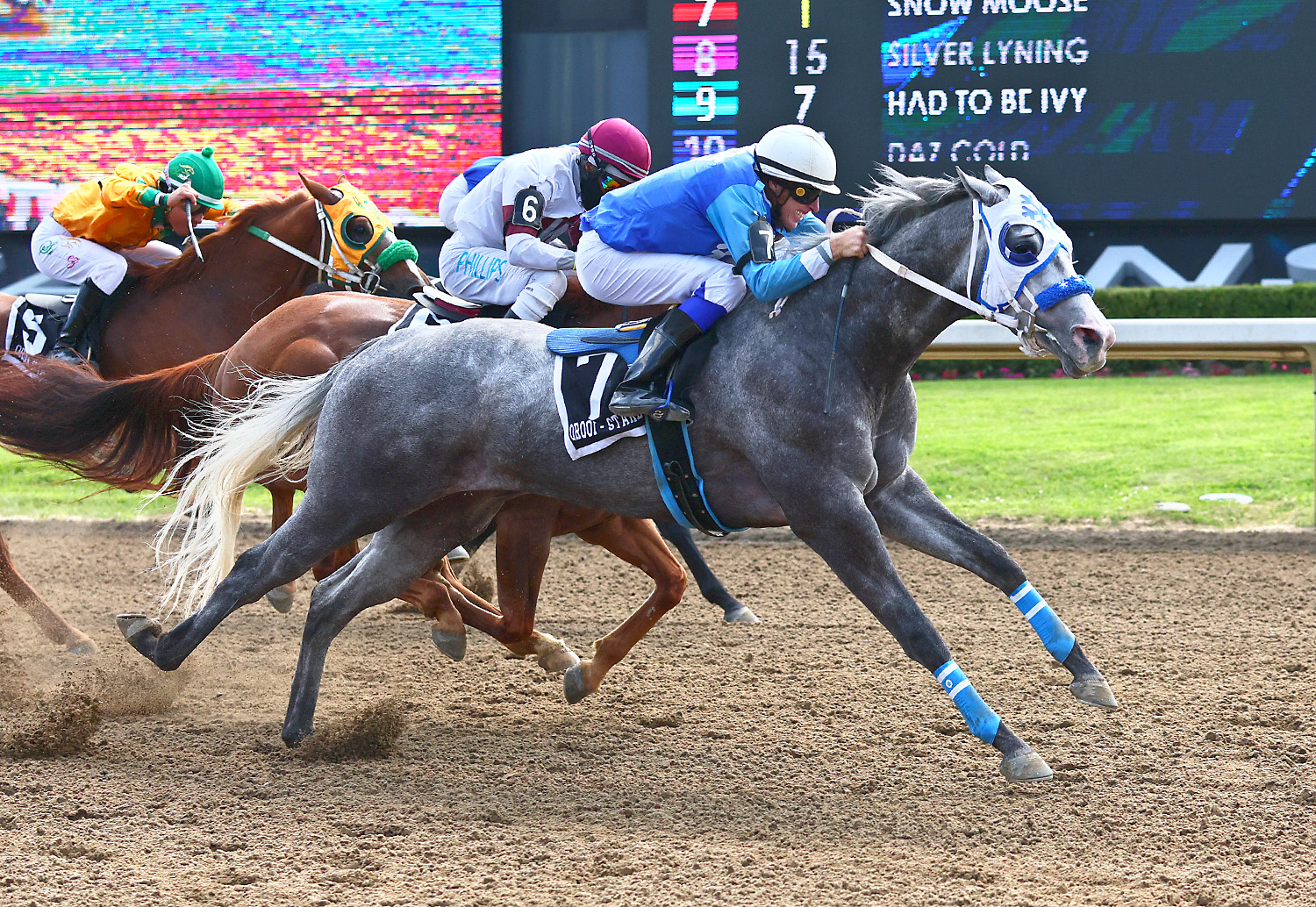 Snow Moose Bulls His Way to Ontario Bred Derby Win