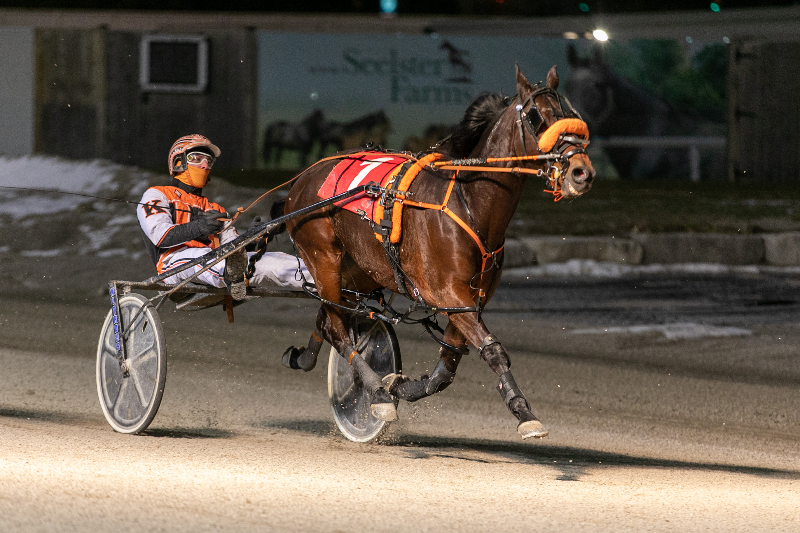 Garnet Barnsdaleâs Western Fair Raceway Selections: Monday, February 10, 2020 - Ontario Racing