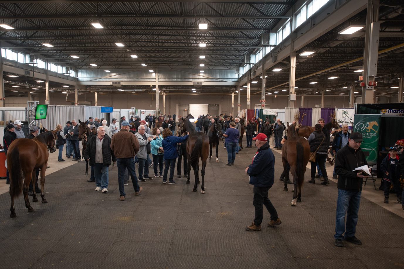 London Classic Yearling Sale Sees Spike In Entries Ontario Racing