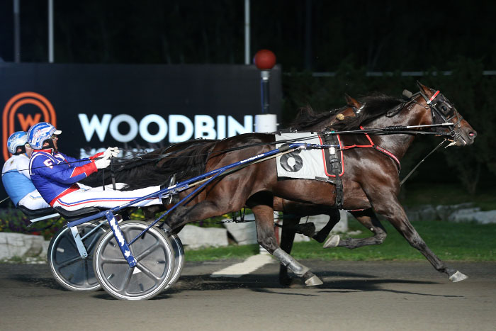 Run Director battles to third Gold Series victory