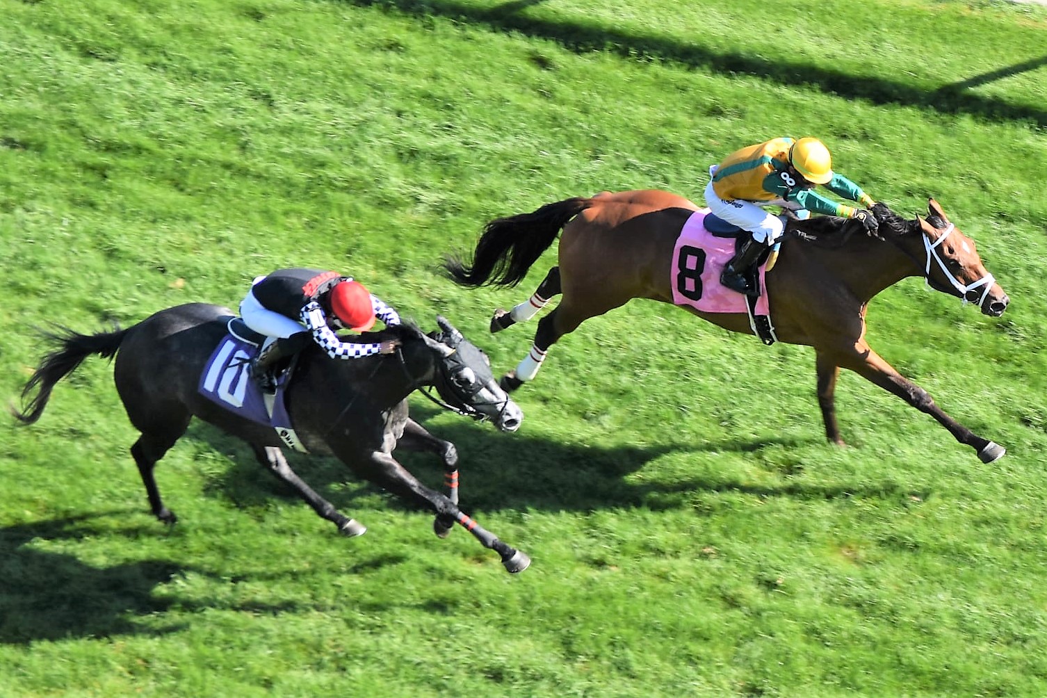 Jennifer Morrison’s Woodbine Thoroughbred Selections: Friday, November 12, 2021