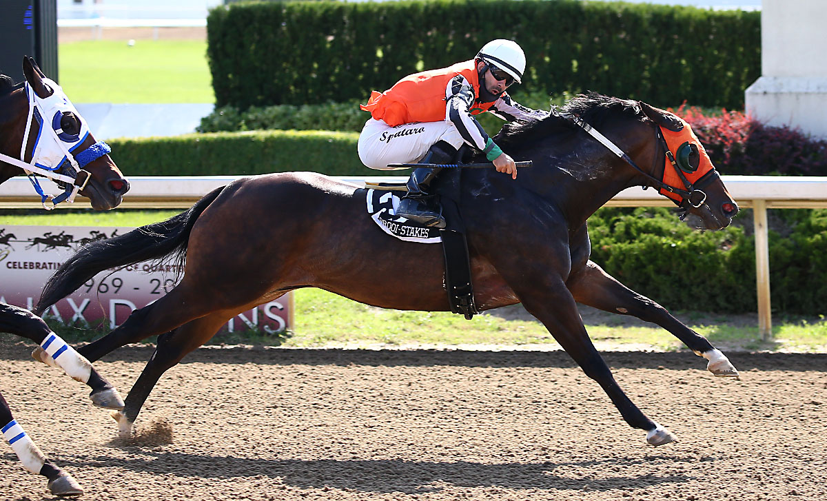 Track record-setting victory for Jess a Sweet Suprize in the $19,890 Sprint Series