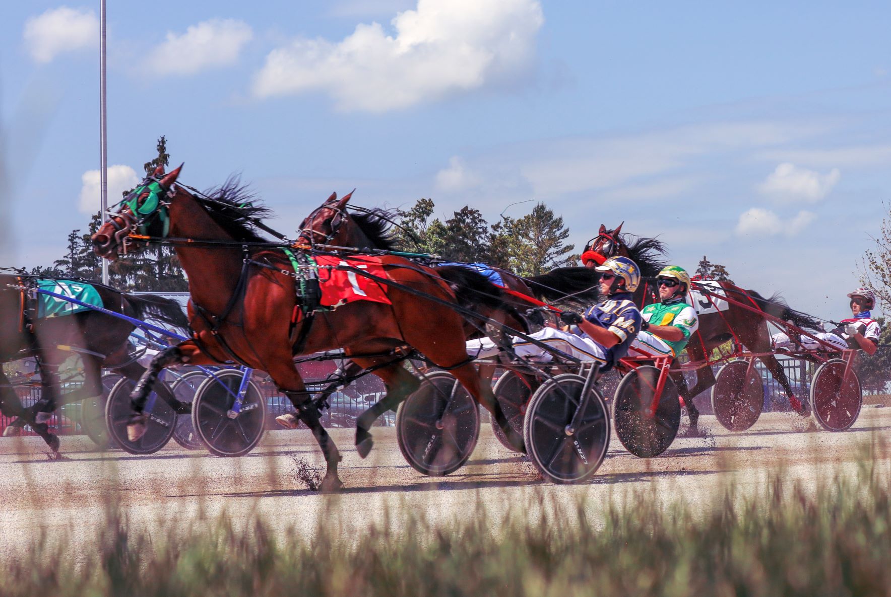 Melissa Keith’s Rideau Carleton Raceway Selections: Thursday, December 2, 2021