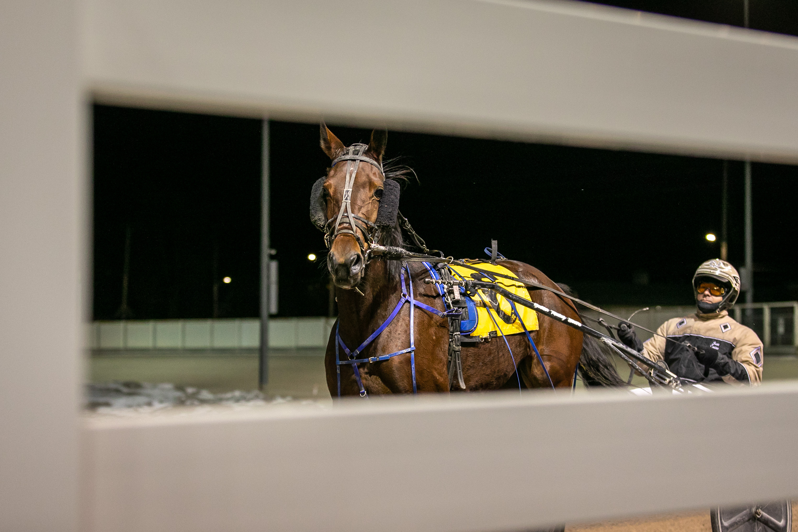 Melissa Keith’s Western Fair Raceway Selections: Friday, February 7, 2020