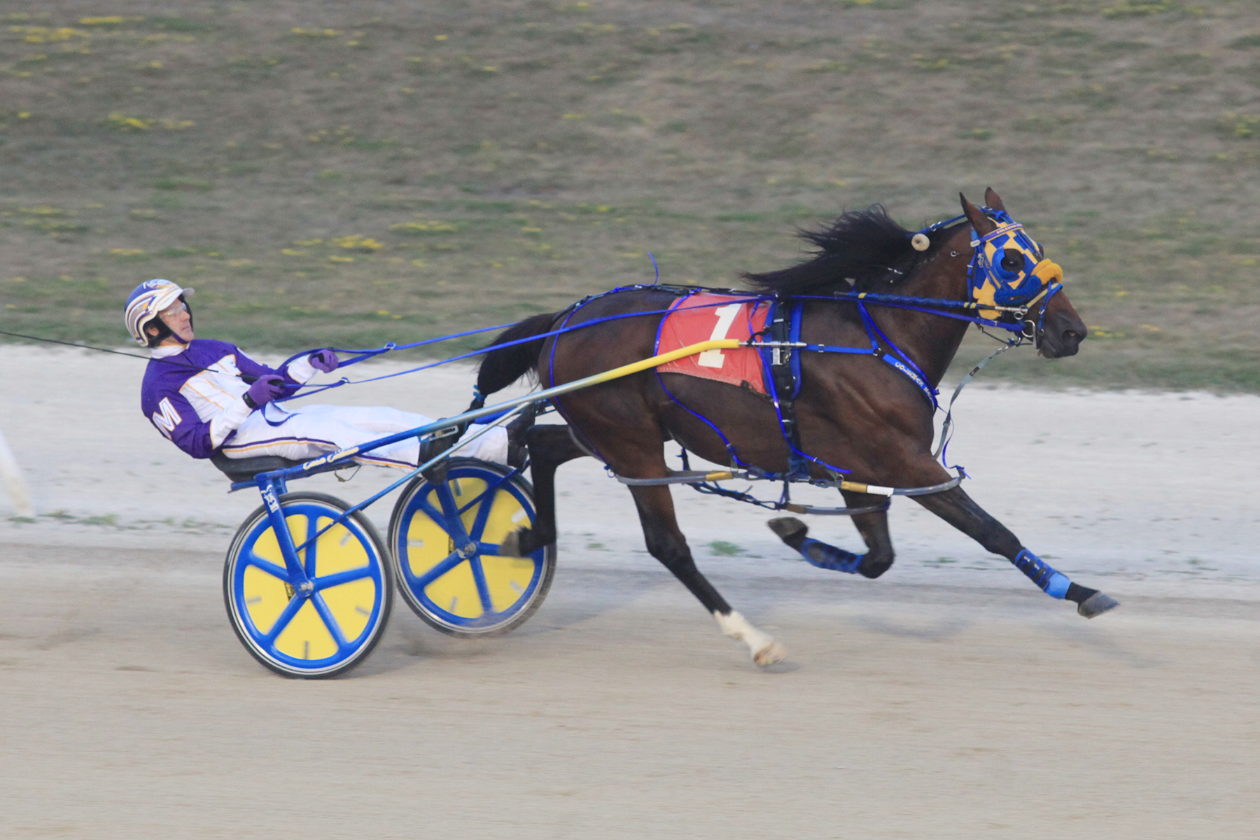 Stag Party scorches around Grand River in record time