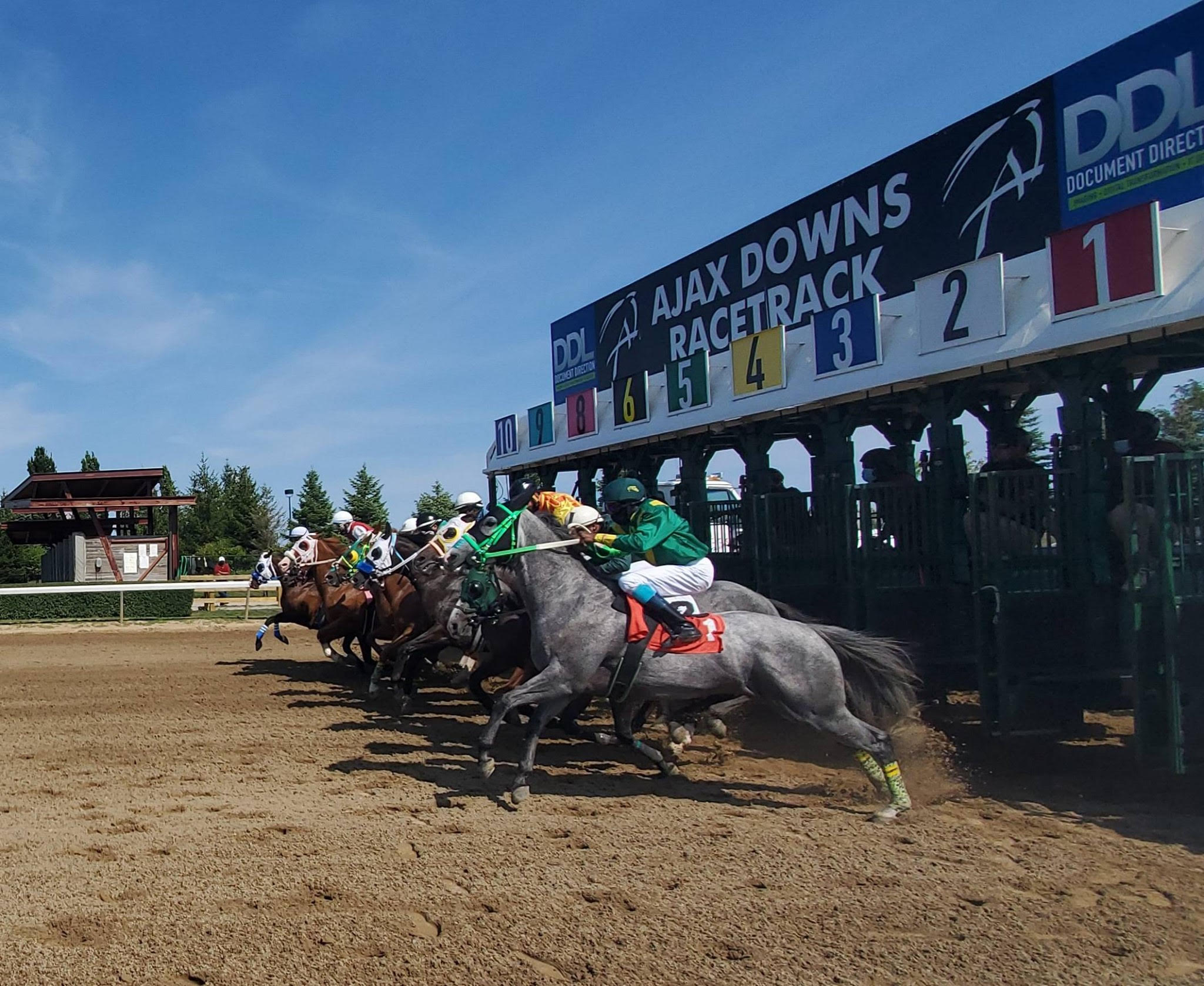 The Quarter Horses at Ajax Downs Return to Mondays Beginning Labour Day