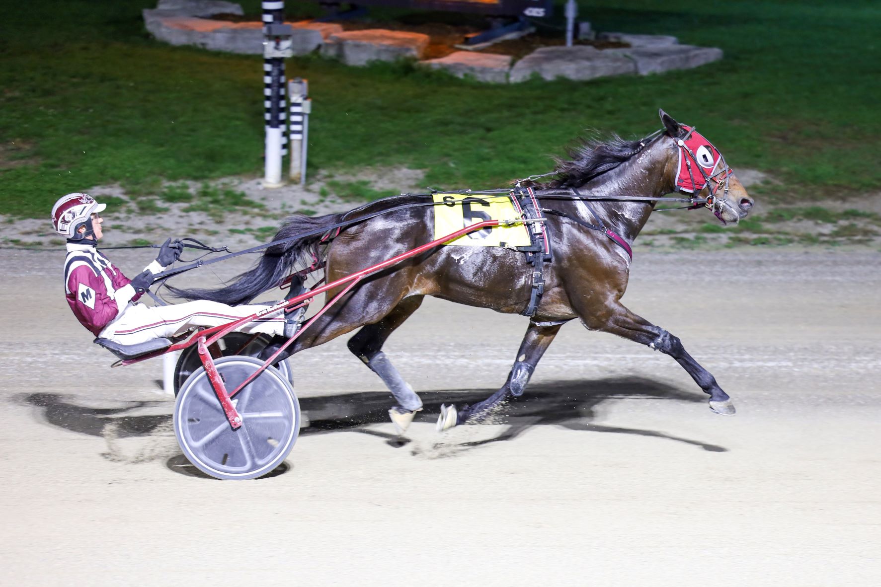 Garnet Barnsdale’s The Raceway at the Western Fair District Selections: Tuesday, November 23, 2021