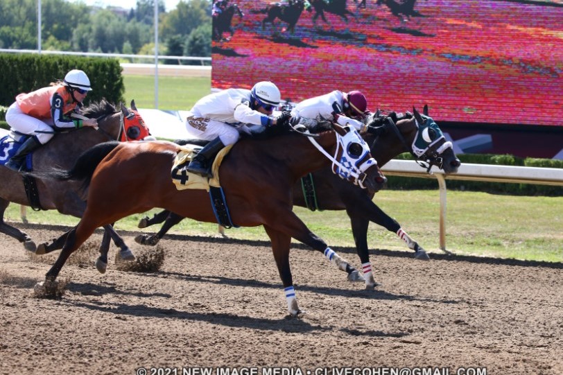 Streakinlilwagon Favoured for Re-Scheduled $61,020 Picov Derby, Sept. 29