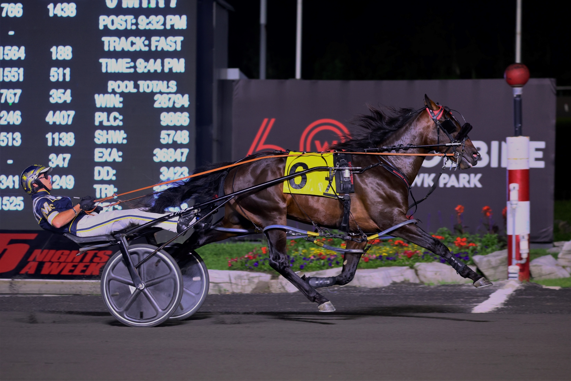 OSS and Grand Circuit Freshman Invade Woodbine Mohawk Park