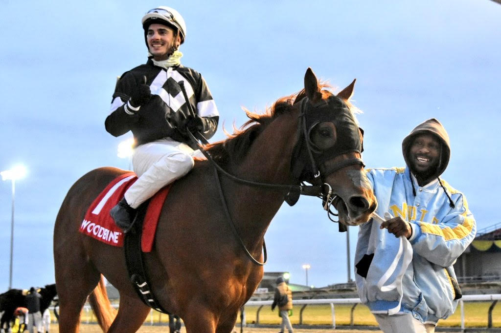 Sir Winston shines in Display Stakes