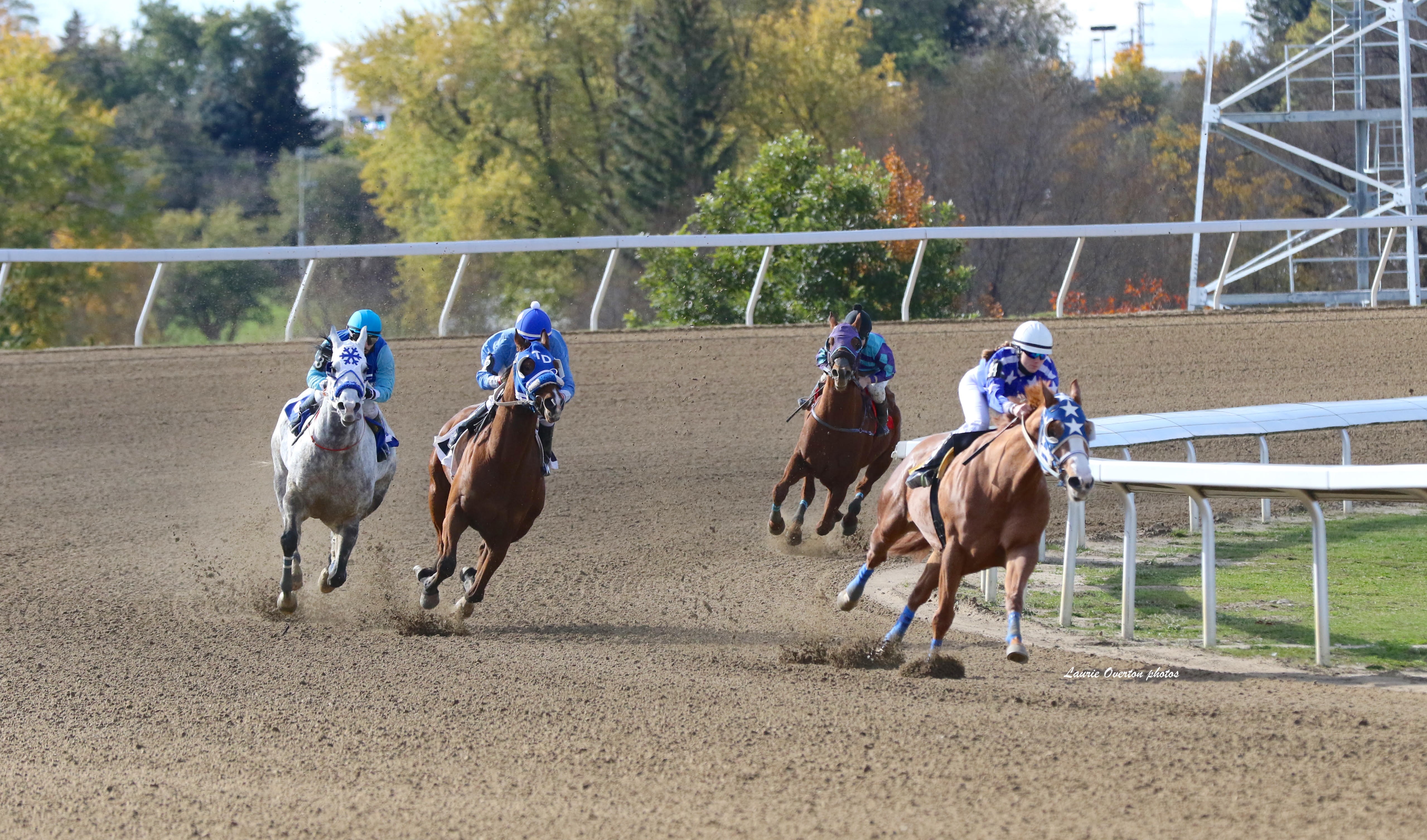 Ajax Downs Wraps Up Successful 2021 Quarter Horse Season With First 'Turn' Race; Cory Spataro Wins His First Jockey Title