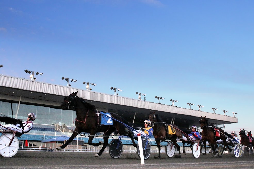 Mohawk Park introduces Ontario Sired Spring Series