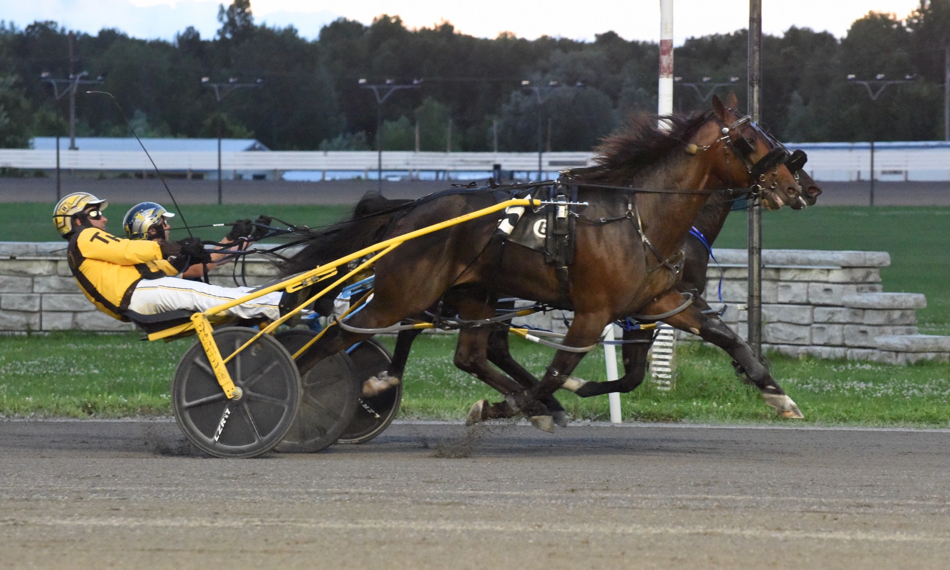 Storm Shadow winning the three-year-old pacing colt race by a nose, seen just behind Wikipedia at Rideau Carleton Raceway on Sunday, June 23 (Bente Nielson photo)