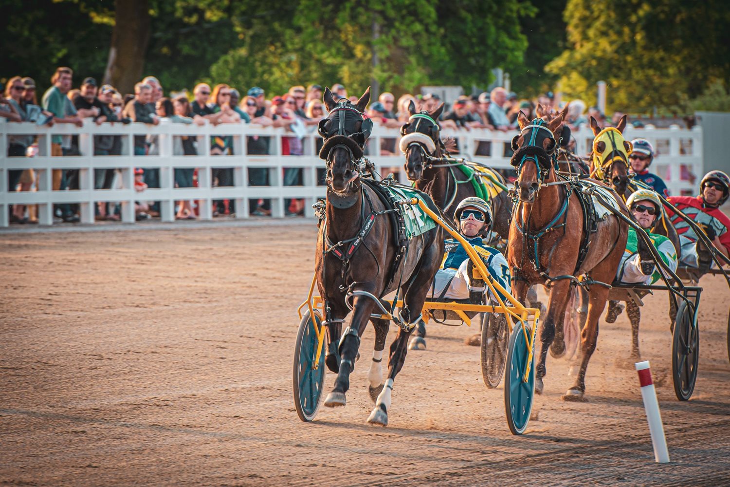 Garnet Barnsdale’s The Raceway at the Western Fair District Selections: Tuesday, October 12, 2021