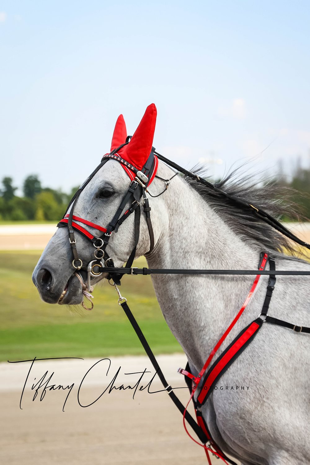 Garnet Barnsdale’s Grand River Raceway Selections: Monday, September 20, 2021