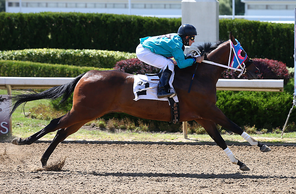 A Dynasty in the Making? It's the Ontario Bred Derby at Ajax Downs September 2