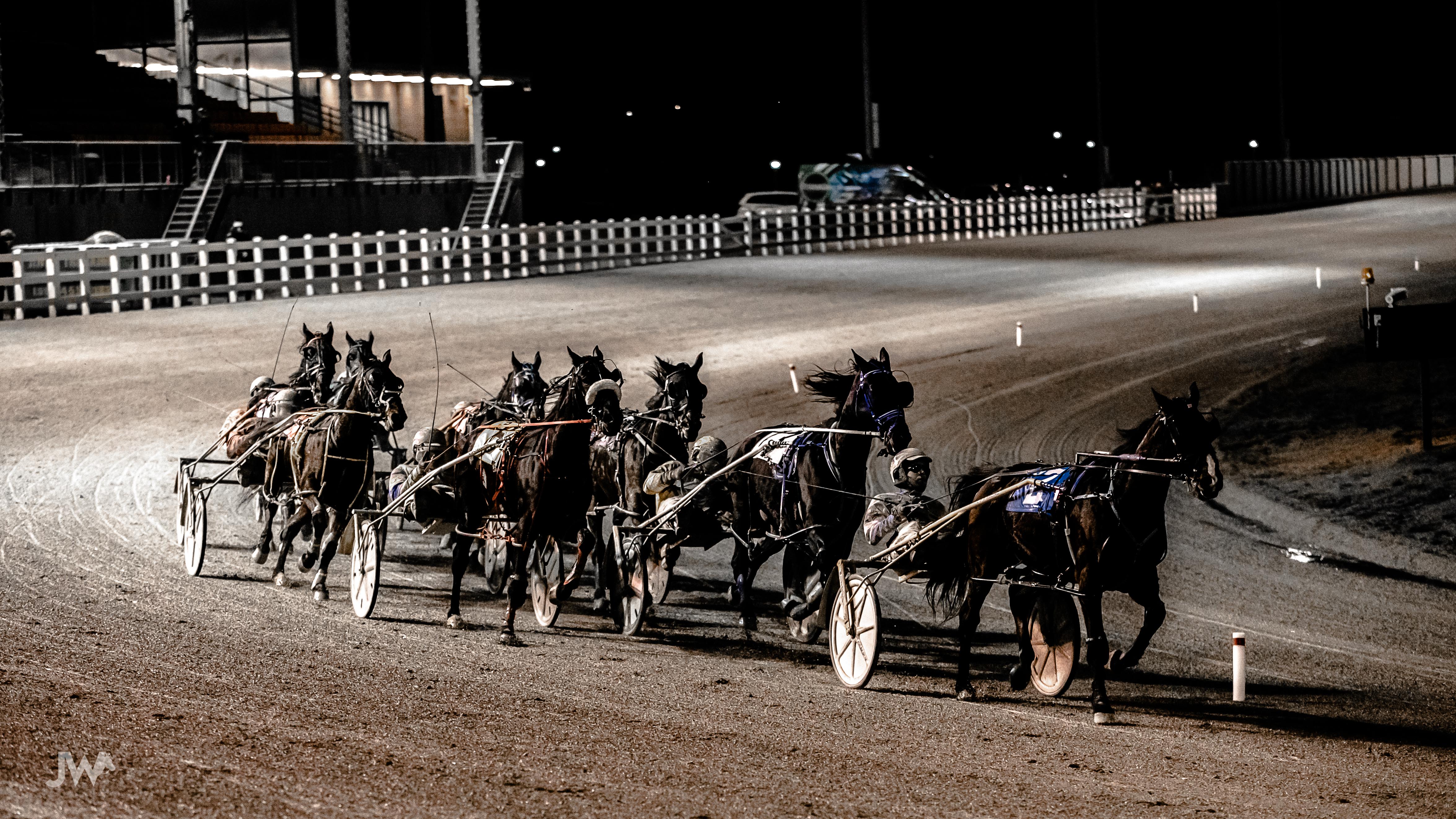 Industry Notice: Return to Racing Updates to Temporary Standardbred Rule Amendments
