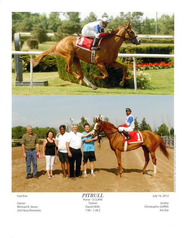 FEATURE: "Every horse is special. Every horse has a story to tell."