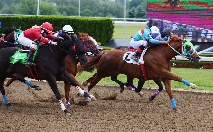 Handicapping a couple of big fields in two stakes races at Ajax Downs
