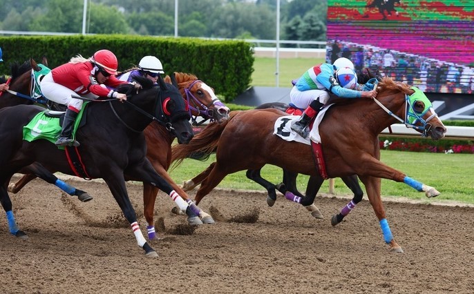 Handicapping a couple of big fields in two stakes races at Ajax Downs