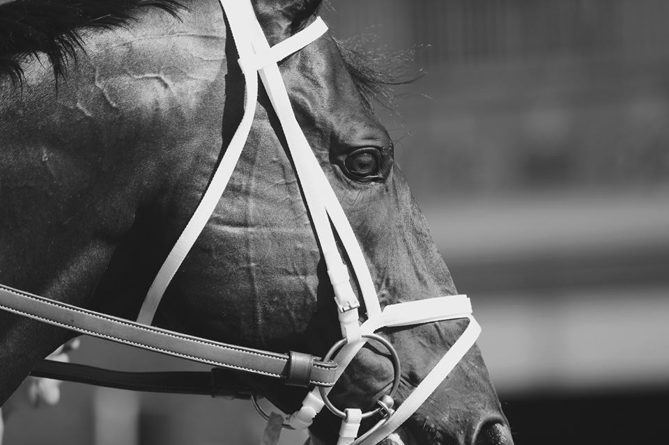 Kingsport: A Class Act