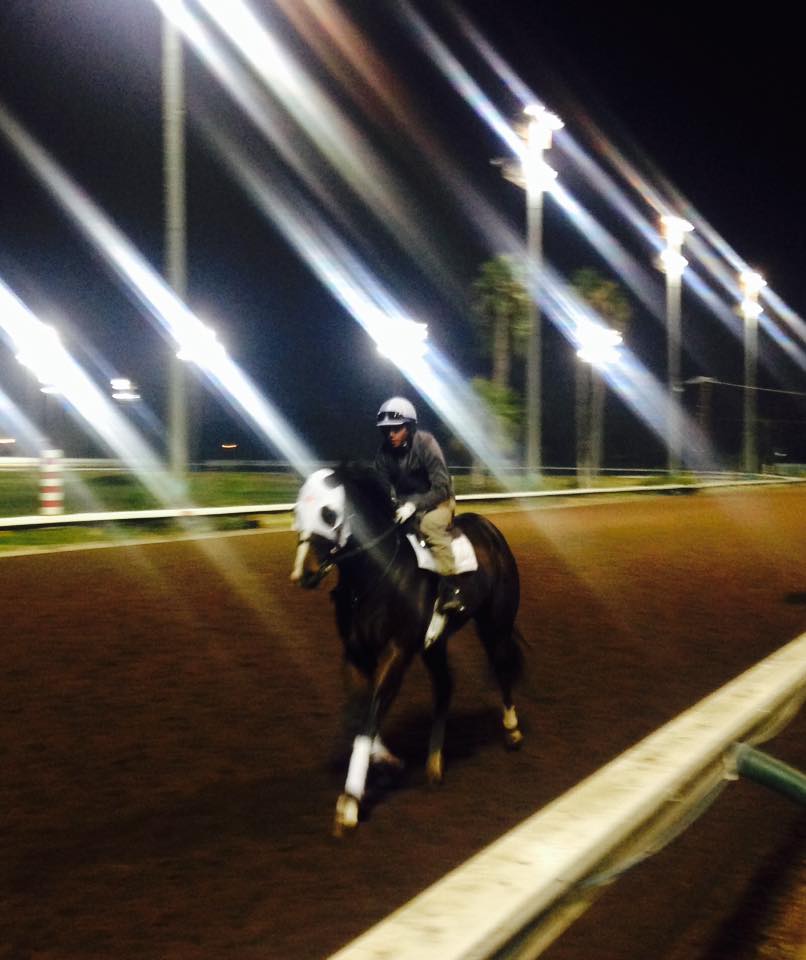 LOS ALAMITOS DIARY: Ontario's Stars Settling In