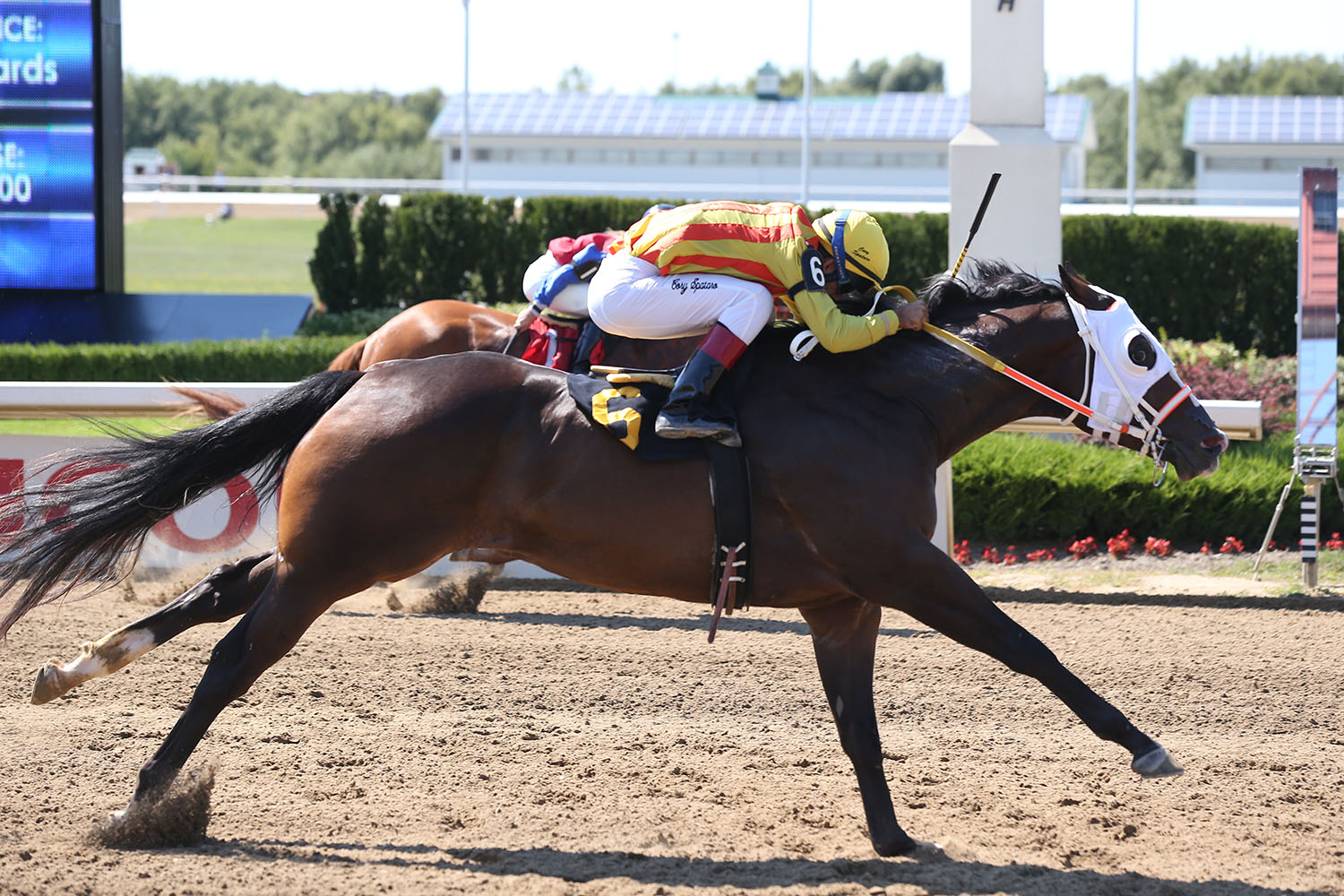 Oh Boy! Career best time for Country Boy in Picov Derby trial