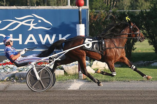 Filion, Blais and Determination sweep two Gold divisions at Mohawk