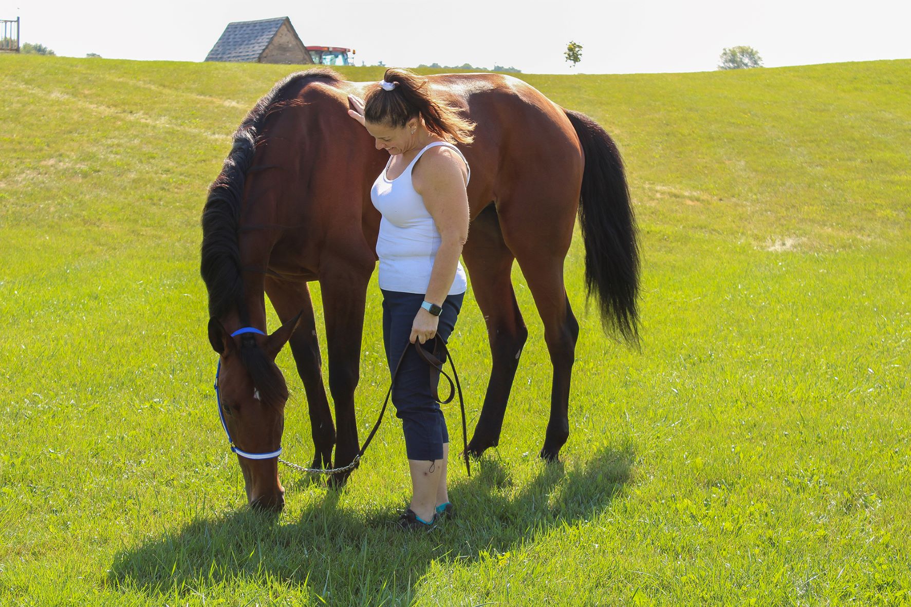 Year in Review: Reset and Refreshed Thanks to the Power of Family and Horses