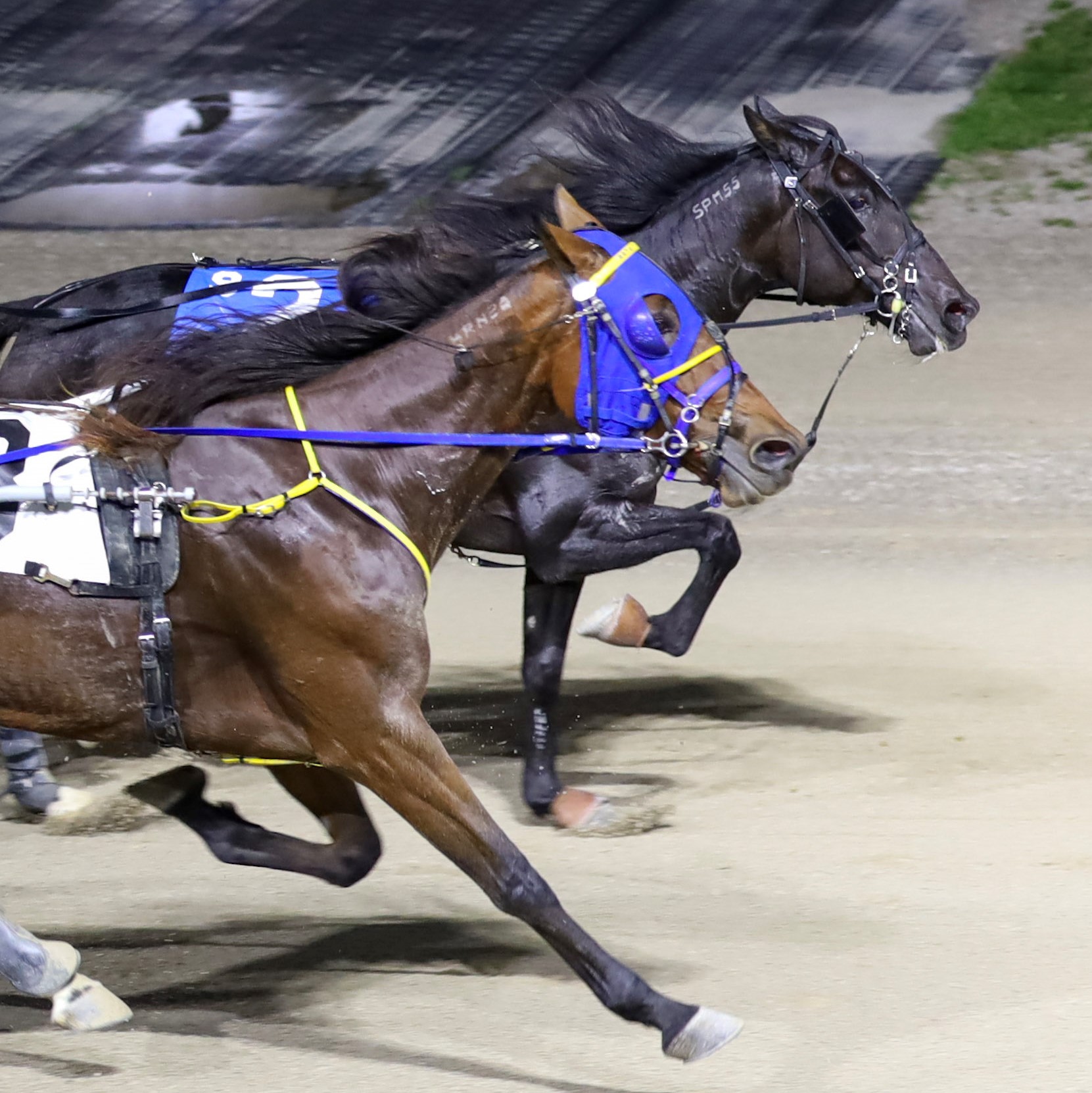 Garnet Barnsdale’s The Raceway at the Western Fair District Selections: Monday, December 13, 2021