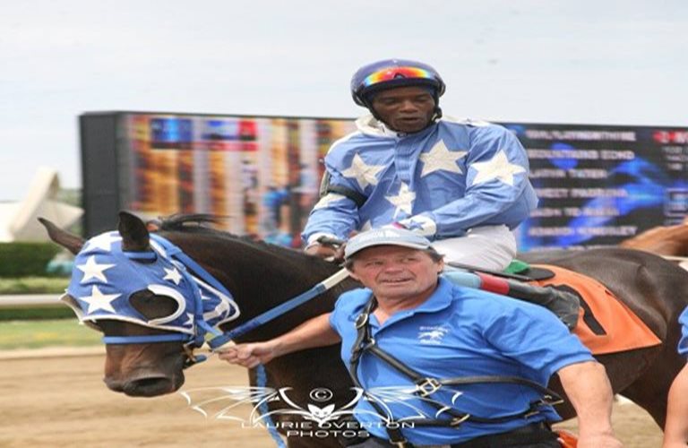 Quarter Horse edition of The Horse That Changed My Life