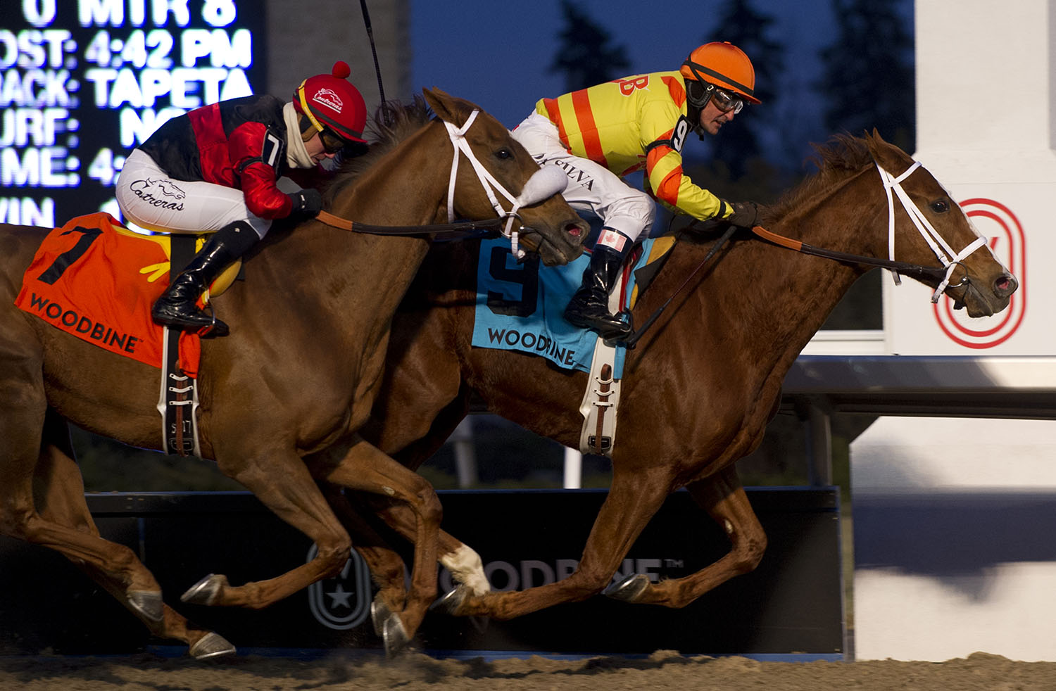 Defending Valedictory champ Pumpkin Rumble looks to deliver Da Silva one last thrill ride