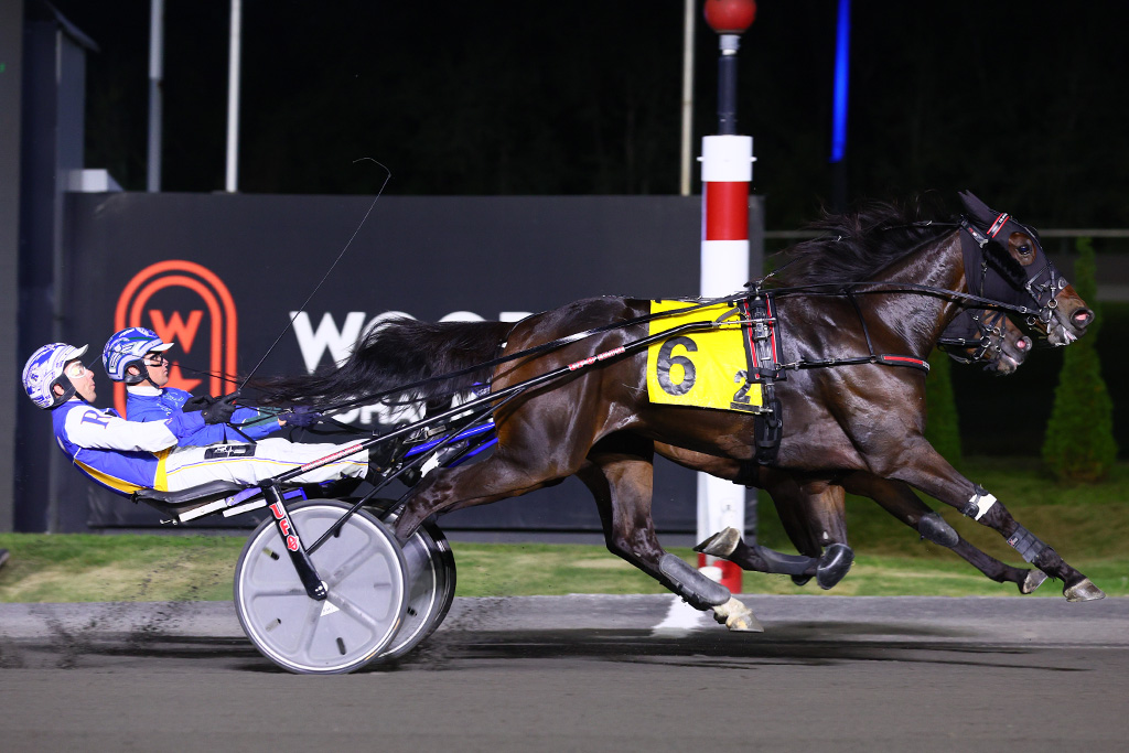 Drawn Impression and driver Louis-Phillippe Roy winning the first Elegantimage elimination on September 14, 2024 at Woodbine Mohawk Park (New Image Media)