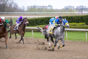 Big Dog Racing: Small operation, big success - Ontario Racing