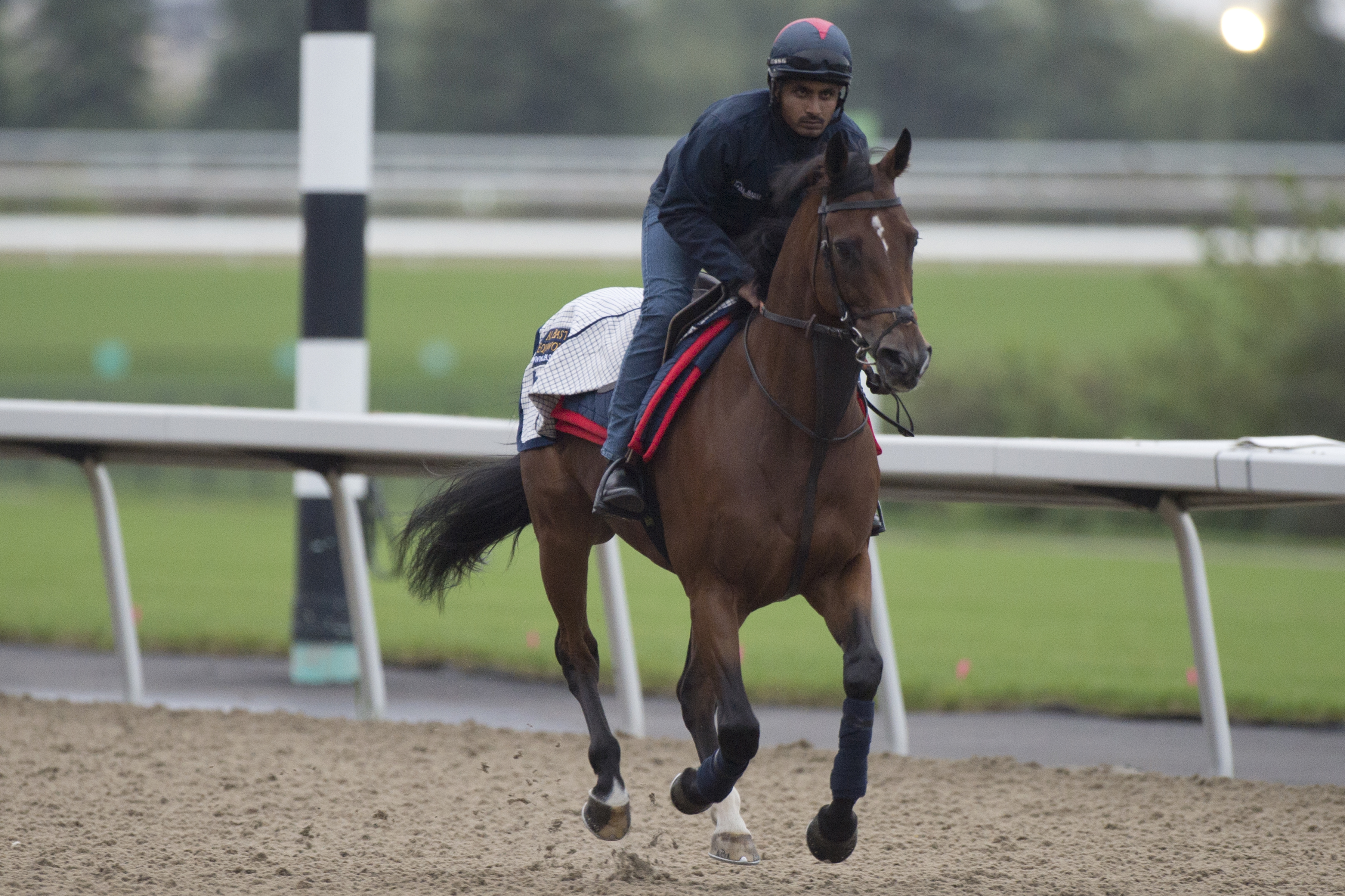 Pattison Canadian International Notes for Monday, October 8, 2018