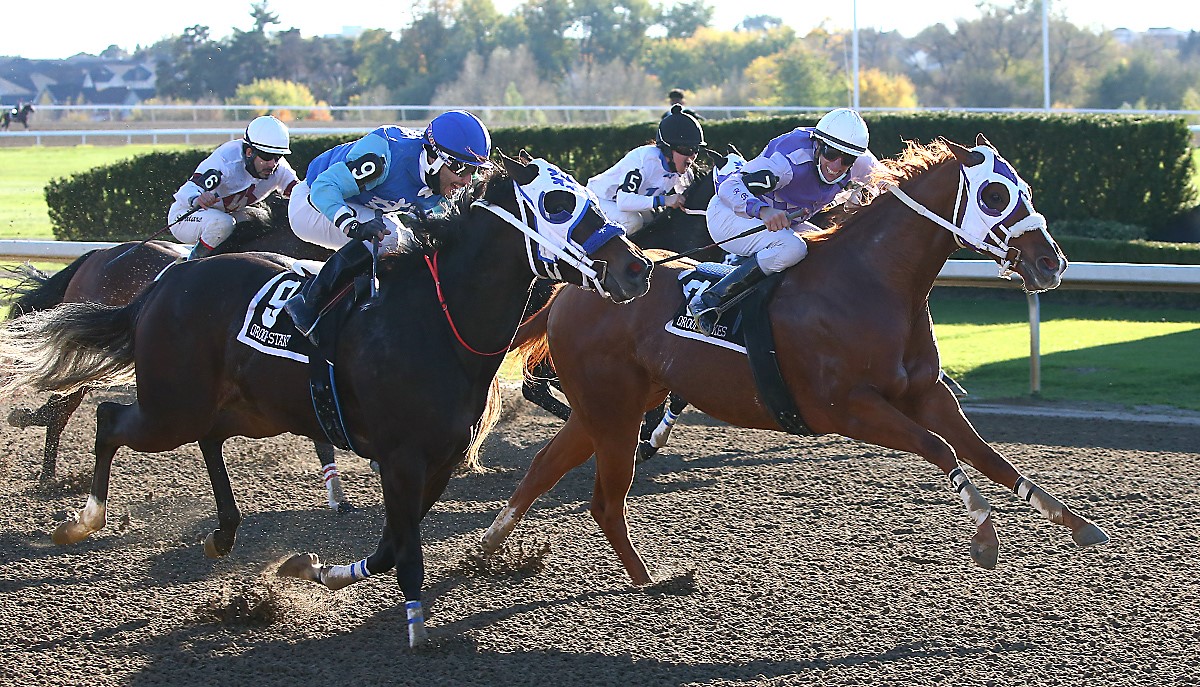 Ontario-Bred First Cold Wave Wins Thrilling Alex Picov Futurity, Richest Quarter Horse race in Canada