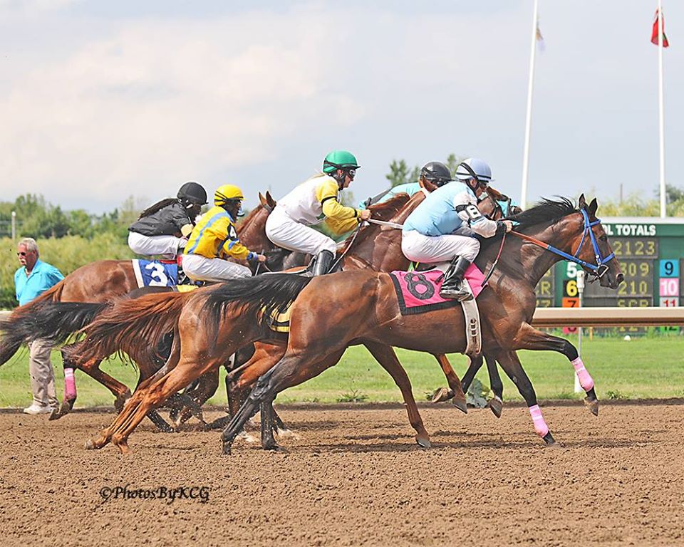 Executive Management Changes at Fort Erie Live Racing Consortium