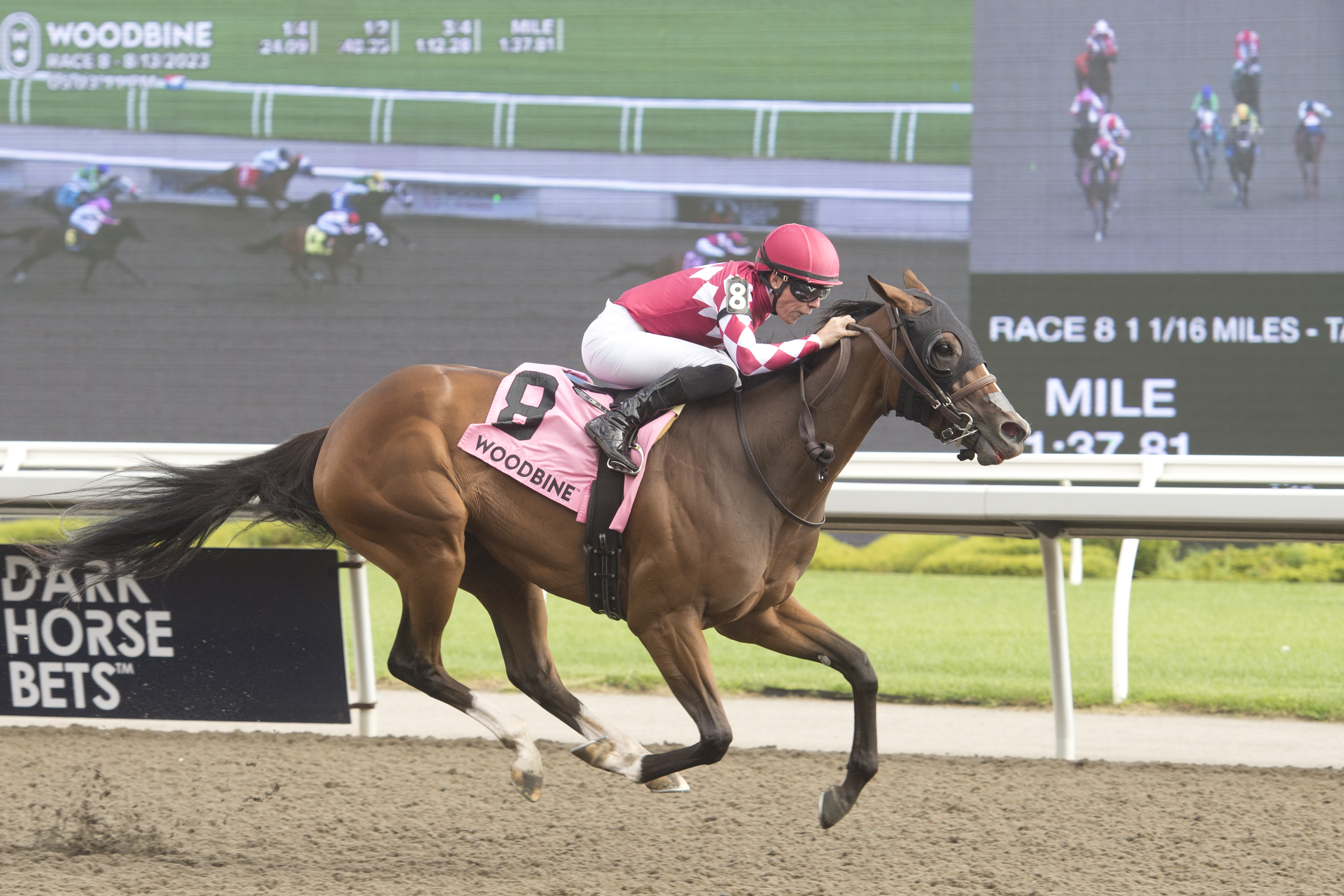 Eight Sophomore Fillies Chase Top Prize in Wonder Where Stakes