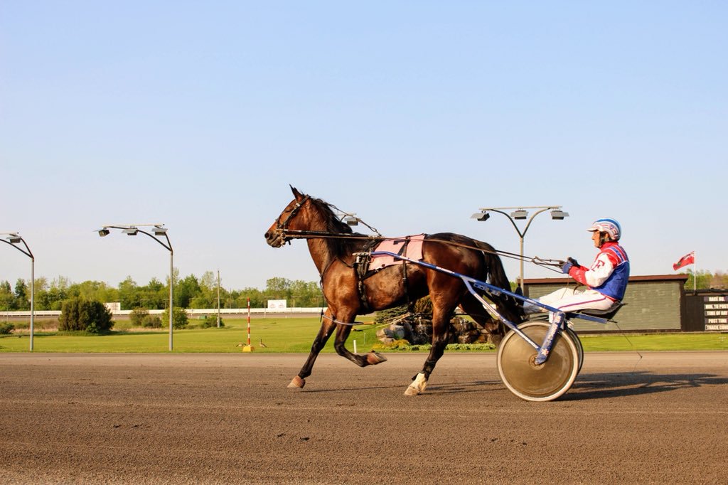 Melissa Keith’s Rideau Carleton Selections: Sunday, March 21, 2021